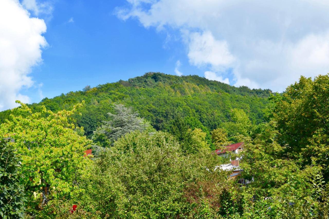 Ferienwohnung Am Geisberg Geisfeld  Екстер'єр фото